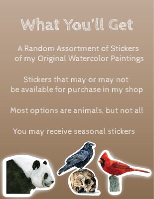 Mystery Sticker Pack Mystery Grab Bag with Random Stickers Random Animal Sticker Packs Vinyl Stickers Watercolor Animal Stickers - image2